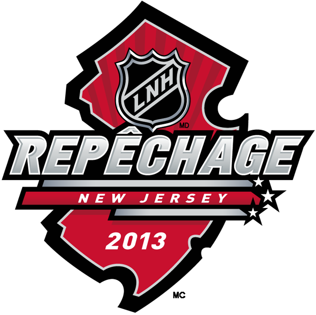 NHL Draft 2013 Alt. Language Logo iron on transfers for T-shirts